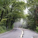 남산 산책로 이미지