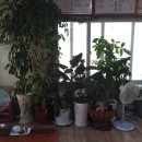 신태양안경원 이미지