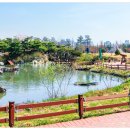 반석동로(유성-53) 이미지