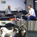 개밥주는 남자 이미지