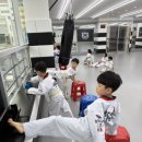 힘차리 태권도장 이미지