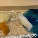 미스터초밥왕 | 스시효 잠원본점 런치 오마카세 후기｜미스터 초밥왕 안효주 셰프의 정석 스시