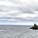 돌섬수산 이미지