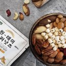 원데이픽
