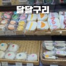 의정부 디저트 맛집 베이글샌드 과일산도 모찌빵ㅣ달달구리 내돈내산 후기