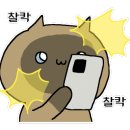 대전워싱 이미지