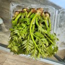 자연대로 이미지