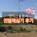 영덕역 | 영덕 산불봉사｜혼자 다녀온 진달래심기 후기