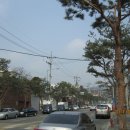 거리박물관 이미지