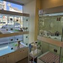 라이프독 강릉점 24시 강아지분양 고양이분양 이미지