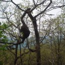 안흥초등학교 이미지