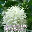 Re:화요 댄스 결산 공지 [123회] 영등포 금마차 이미지