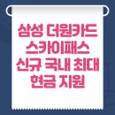 프리미엄 더원 | 삼성카드 프리미엄 혜택 완벽 더원 스카이패스 바우처 후기