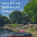 서울 청주 근교 아이와 계곡 추천 충북 화양구곡 화양계곡 평상 물놀이(ft.숲노리캠핑장)