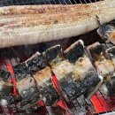 장안민물장어 이미지