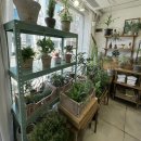 3886 | [홍대/연남 꽃집] 블루멘탈 꽃다발 추천! 내돈내산 후기