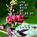 3월12일 뉴스브리핑 이미지