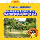 청대사 이미지