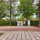 대공원대로, 대공원광장대로 이미지