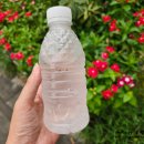 2024-주217 이미지