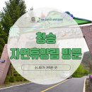 대전리약수터 | 청송자연휴양림 방문, 소나무가 가득한 곳!