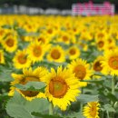 근성목장 이미지