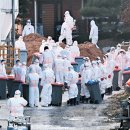 도선농장 이미지