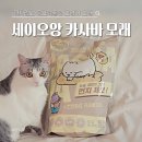 황금공중화장실 | 먼지 없는 고양이 모래 추천 세이오앙 고양이 카사바 모래