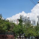 어룡공인중개사사무소 이미지