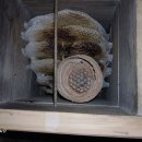 말벌의 보금자리26,5,5 이미지
