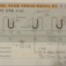 피토파고 이미지