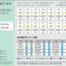 31 이미지
