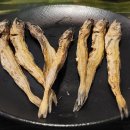 진짜노가리 이미지