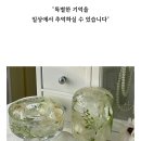 클라우드봉봉