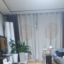 유성빌라 Daum카페