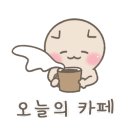 카페하소