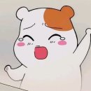 산호가든 | 한진관광 푸켓 3박5일 패키지여행 후기 3일차 (산호섬 바나나비치 호핑투어/타이마사지)