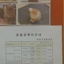 펫토이동물병원 이미지