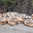 레디젯코리아 이미지