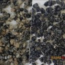 에스케이에너지 이미지