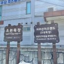 초원랜드 | 지리산치즈랜드 3월 중순 수선화 실시간 개화 상황 입장료 솔직후기