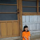 다은 카카오 검색결과