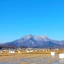 경송정 네이버블로그