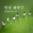 🦋 함께하는 🎯 방포방 🎯 10월 20일(화) 🦋 출석부 올립니다 🎯 가만가만 부르는 노래 🦋 806기 선배님들 1주년 축하 🎯 이색적인 국내여행지 이미지