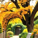 고요농장 이미지