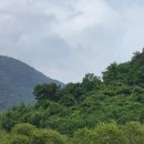 호텔라벤다제주 | WE호텔 제주 후기, 화산암반수 수영장 무료 사우나 할인 특가