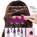 손미경헤어