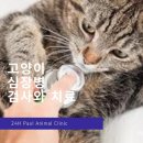 도그스타동물병원