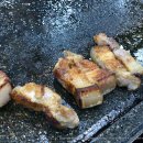 말이랑흑도새기랑 이미지