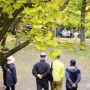 비밀정원 이미지